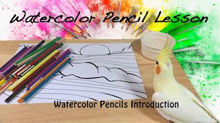 Intro: Using Watercolor Pencils Art Journaling