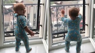 Toddler dances to 'Baby Shark' song with hysterical moves
