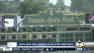 Santa Anita suspends racing after latest horse death