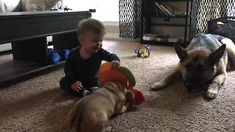 Baby & dog play hilariously adorable game of tug-of-war
