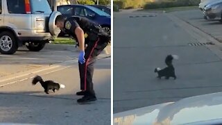 Police officer rescues skunk with cup stuck on its head