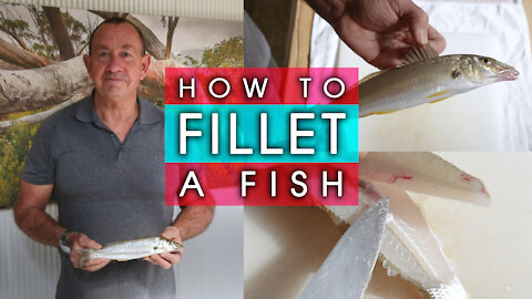 How to Fillet a Fish - ( BONE FREE ! )