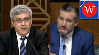 Senate Hearing Today: Cruz LACES into DEM Witness's On Voting Rights