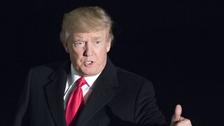 Trump Talks Economy, Trade Deals And Trees At World Economic Forum