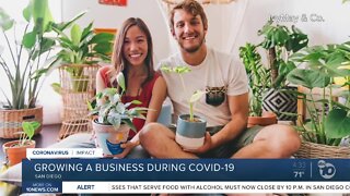 San Diego entrepreneurs start plant delivery business during COVID-19 pandemic