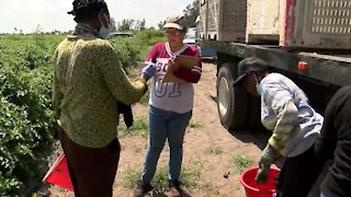 Palm Beach County farmworkers receive PPE, hygiene supplies