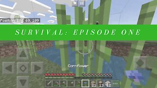 A New World! | Minecraft Survival - Episode 1
