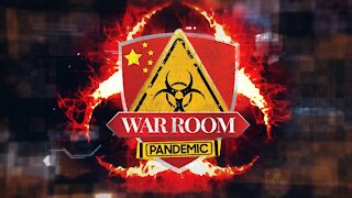 Bannon's War Room Pandemic: Ep 518 (with Patrick Colbeck and Jack Posobiec)