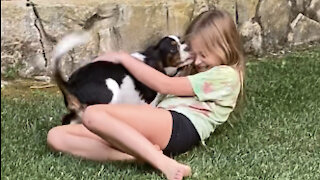 Puppy plays cutest game of tag with sweet little girl
