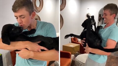 Dogs have completely different reaction to being held like babies