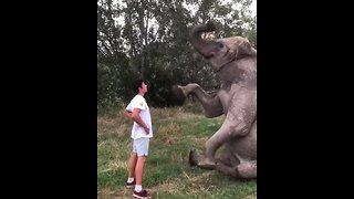 Most epic way to high five an elephant
