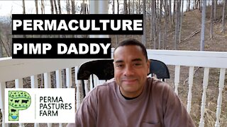 How I Became The Permaculture P.I.M.P.Daddy