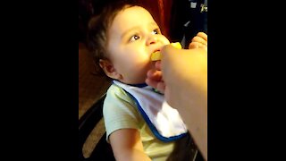 Baby tries lemon, actually enjoys it