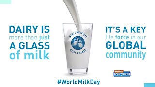 American Dairy Association North East - World Milk Day