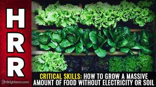 CRITICAL SKILLS: How to grow a massive amount of food without electricity or soil