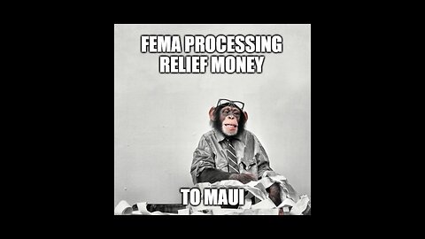Maui Fire- You Aren't Crazy If You Recognize Patterns