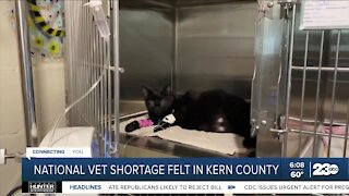 National Veterinarian shortage felt in Kern County