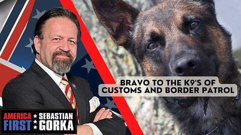 Bravo to the K9's of Customs and Border Patrol. Jennifer Horn with Dr. Gorka on AMERICA First