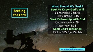 Video Bible Study: Seeking the Lord