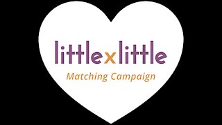 Little by Little Campaign