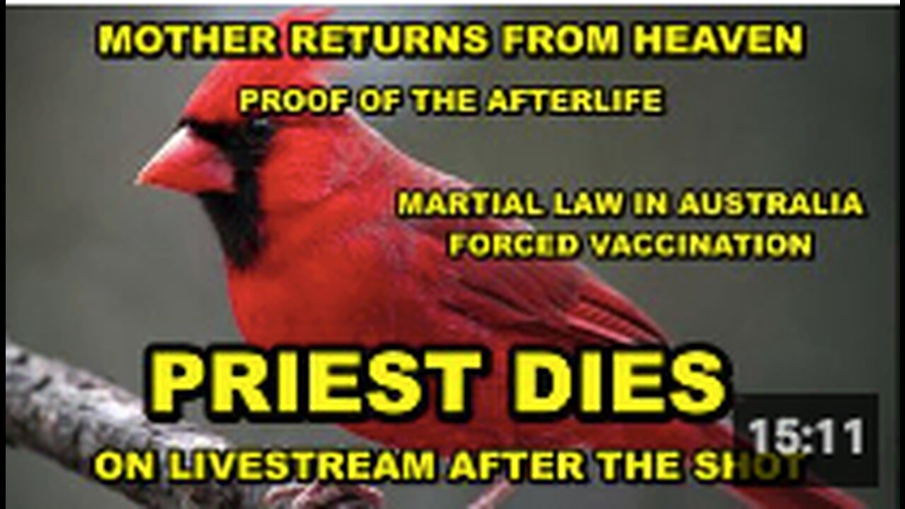 - A brief visit from Heaven - Priest Dies during Livestream church service - Australian Northern Territories under Marshall Law - Forced Vaccinations MUSIC: Knocking on Heaven's Door - From the movie 