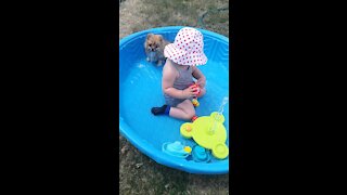 Cute Puppy and Baby playing in water