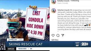Check This Out: Nevada rescue cat loves to ski, paddleboard