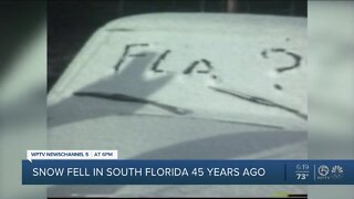 Wednesday marks 45th anniversary snow fell in South Florida