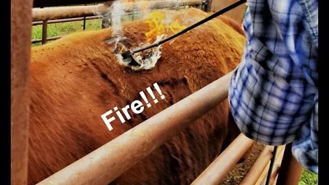 Fire! | Drought | Agriculture and Threats from Fire (In the Chute - Round 95)