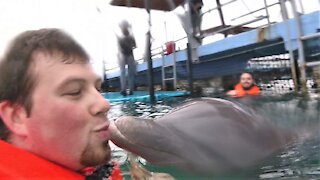 Friendly dolphin gives tourists unforgettable memories