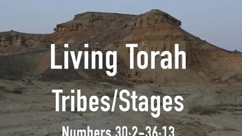 Tribes/Stages