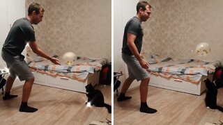 Kitten & owner adorably play catch with a balloon
