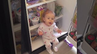 What happened when naughty baby open the fridge