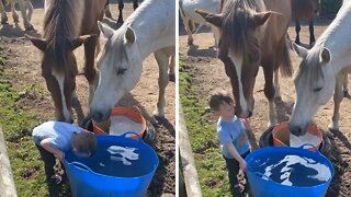 Kid on the farm takes water break with the horses