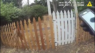 Officer rescues deer trapped in fence