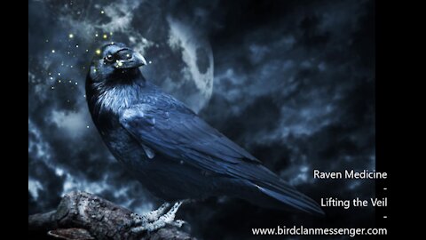 Raven Medicine Lifting the Veil