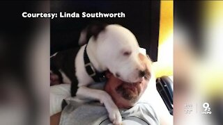 Homeless man grieving after police shot and killed his dog