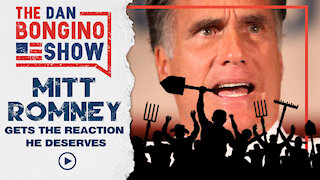 Mitt Romney Gets The Reaction he Deserves