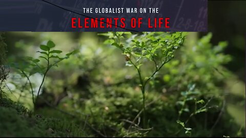 The Globalist WAR on the Elements of Life