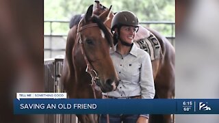 Local woman saves horse from slaughter