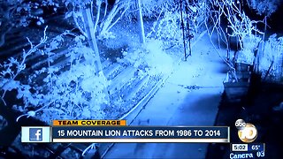15 Mountain Lion Attacks from 1986 to 2014 in CA