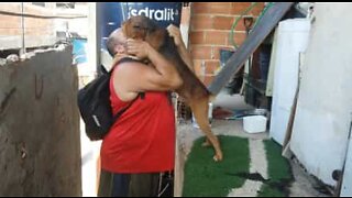 Dog welcomes his owner home with a warm hug