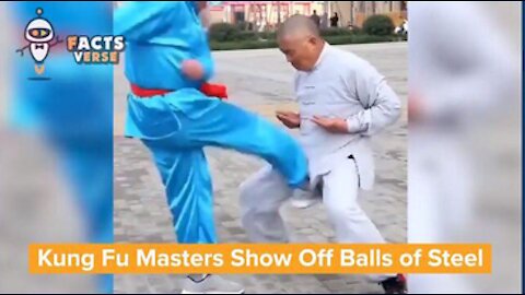 Kung Fu Masters show off Balls of Steel