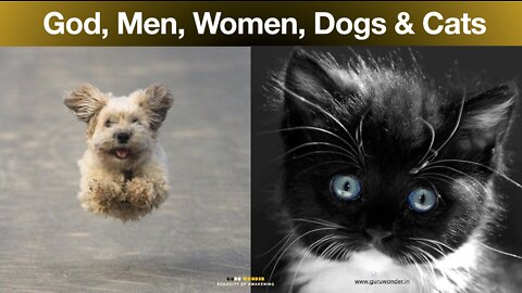 God, Men, Women, Dogs & Cats
