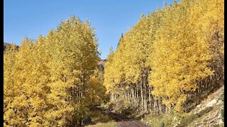 Fall Trip to Leadville, Colorado