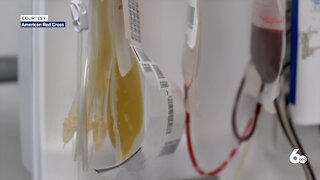 Red Cross Seeking Blood and Plasma Donations
