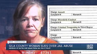 Gila County woman sues over jail abuse