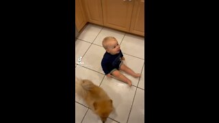 Baby Gives Puppy a Pat on the Back