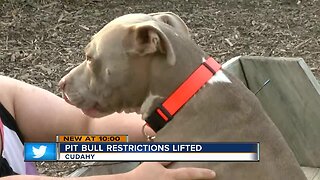 Pit bull restrictions lifted in Cudahy