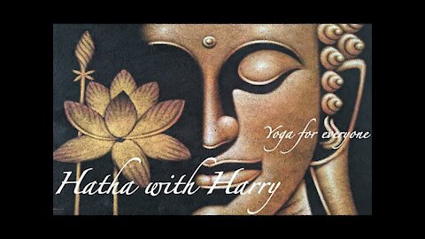 Hatha with Harry - Beginner's yoga 5.5 Chaturanga